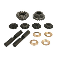 066332 CARRARO mechanizm...