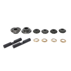 066759 CARRARO mechanizm...