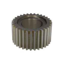 138736 CARRARO satelita