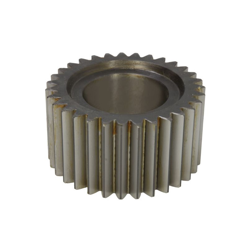 138736 CARRARO satelita
