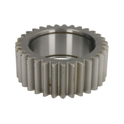145579 CARRARO satelita