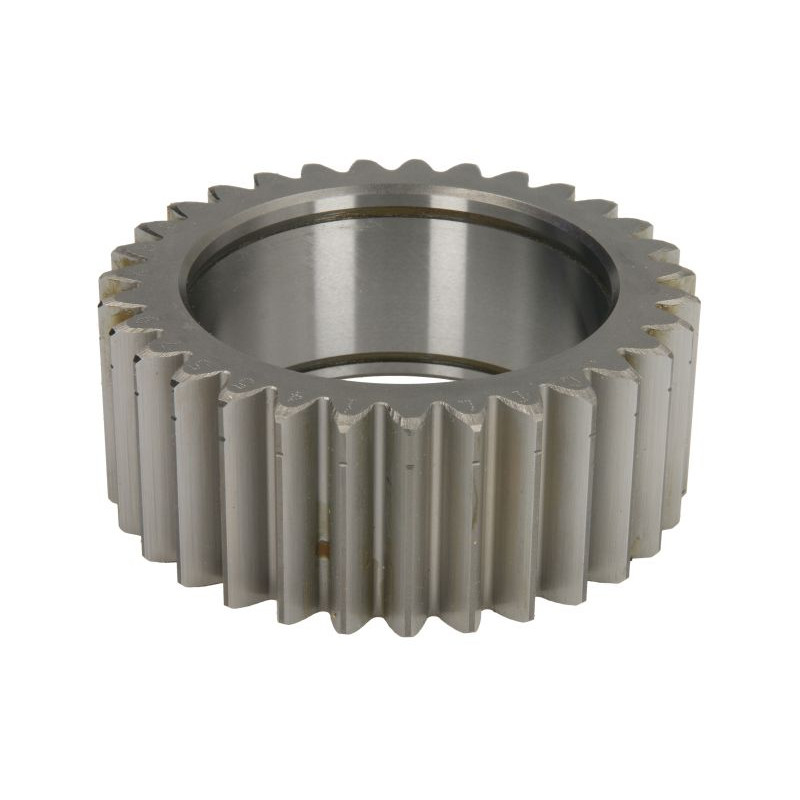 145579 CARRARO satelita