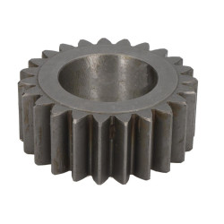 125455 CARRARO satelita