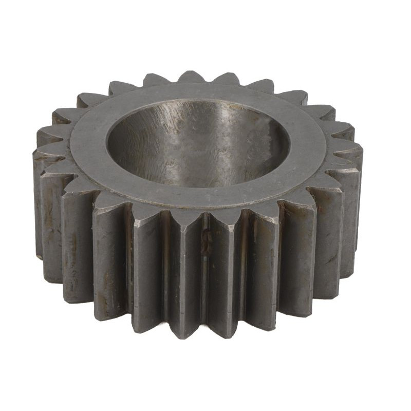 125455 CARRARO satelita