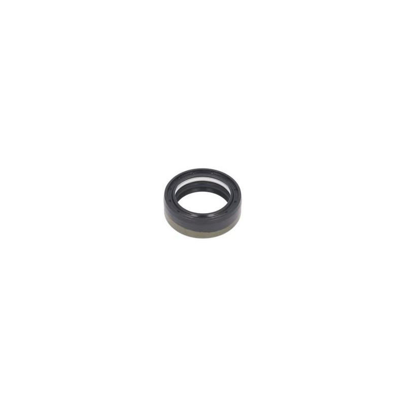 381523 CARRARO uszczelniacz