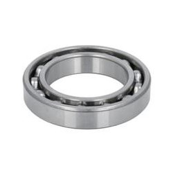 025743 CARRARO łożysko