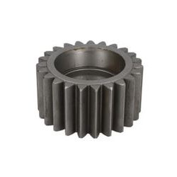 135947 CARRARO satelita