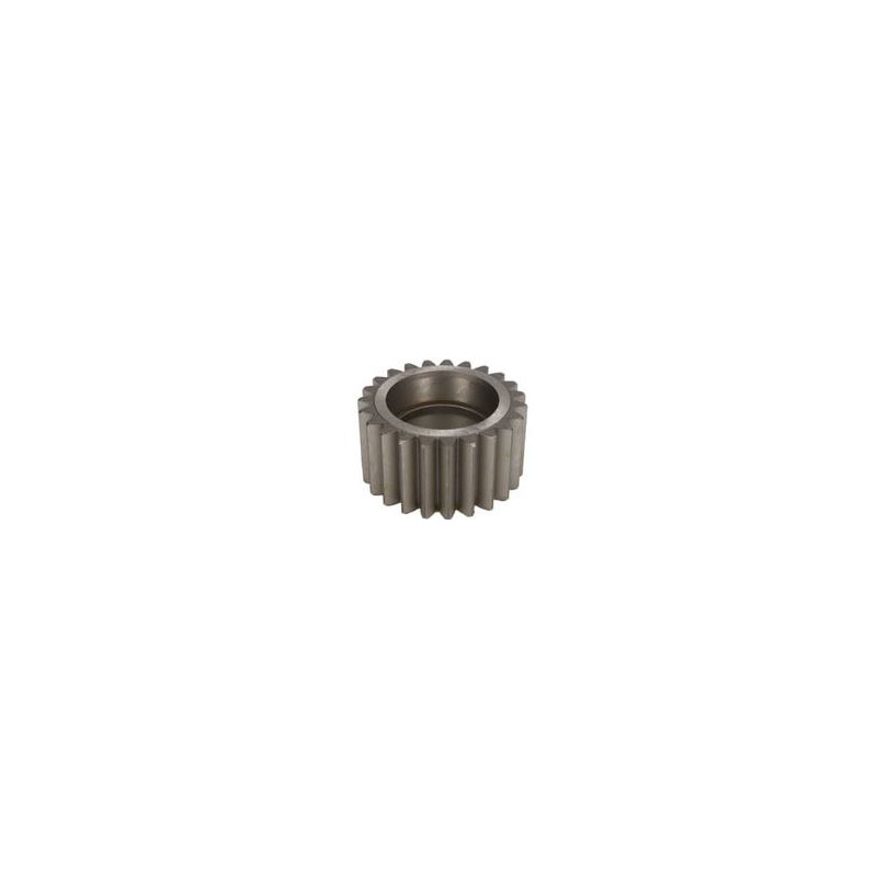 148396 CARRARO satelita