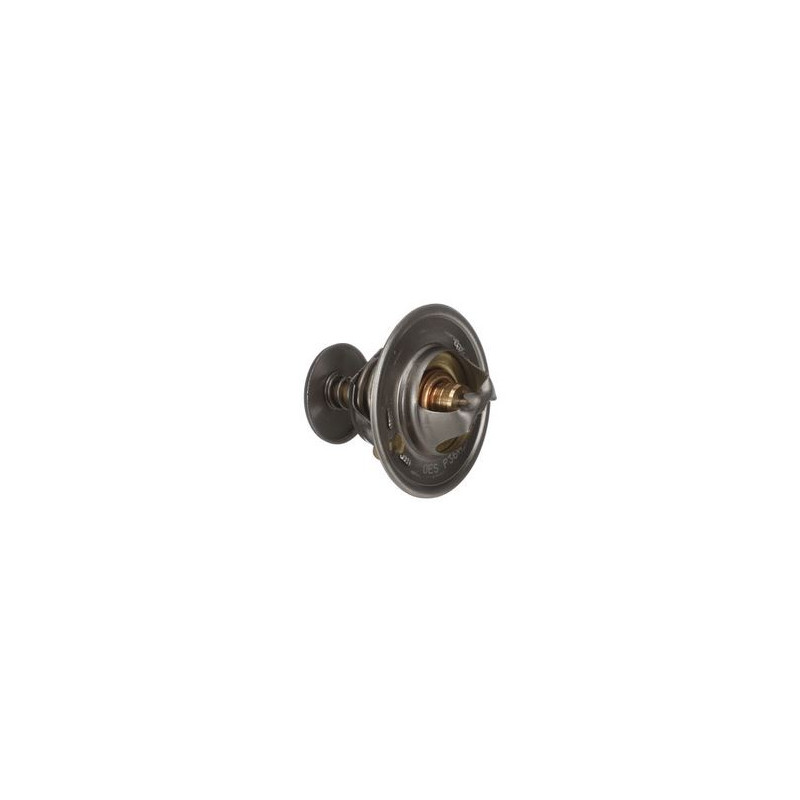 87803664 Termostat CASE 695 SM