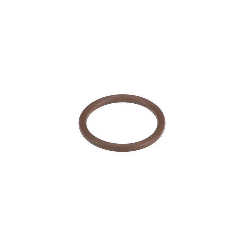 86625094 Oring