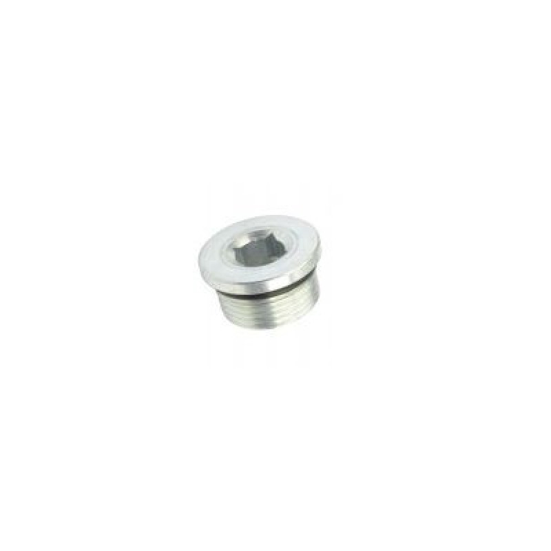 85806012 Korek zwolnicy z oringiem CASE 580 SR SLE