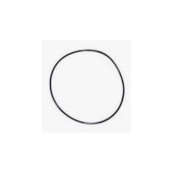 308036A1 Oring