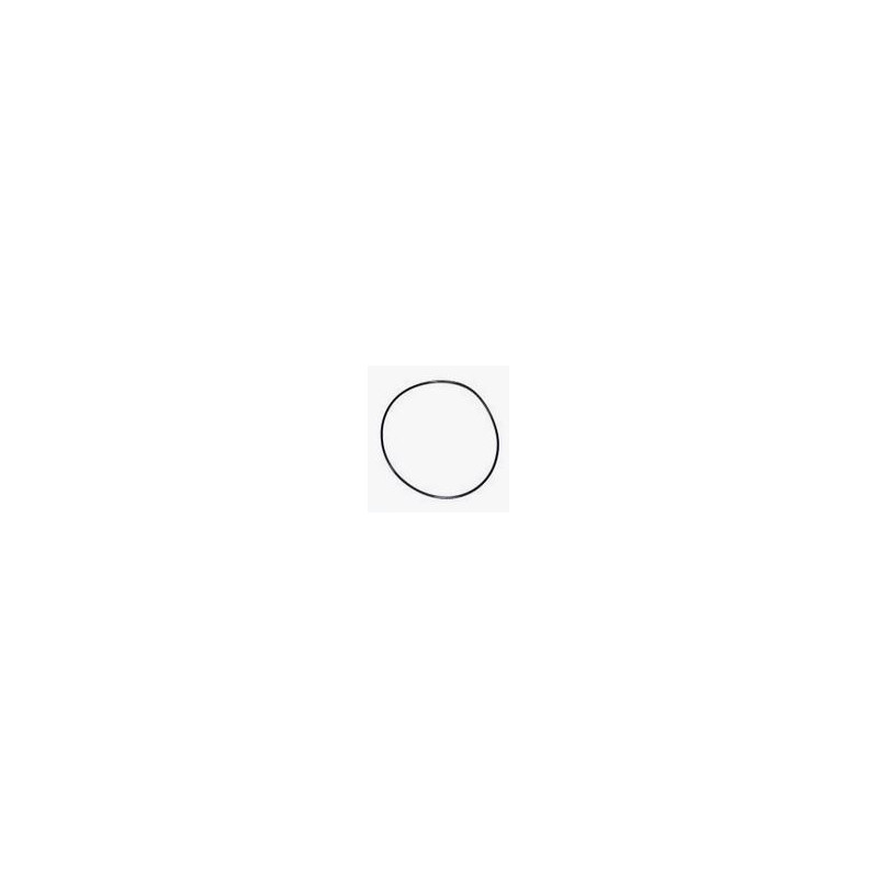308036A1 Oring