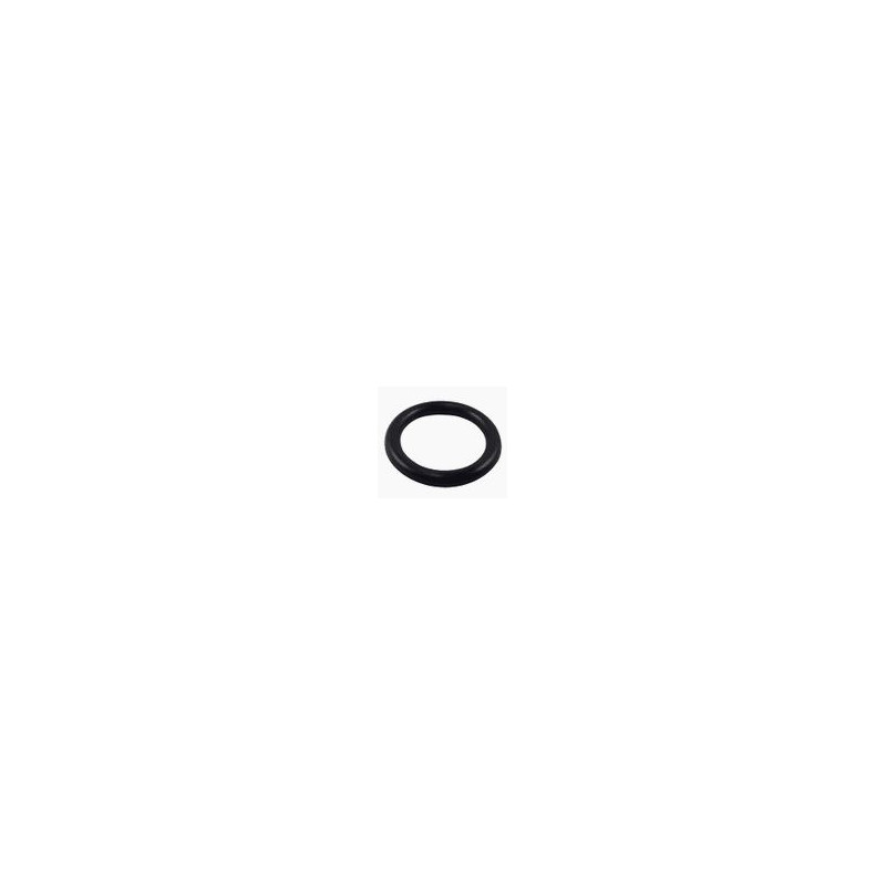 510204 Oring hamulca przesuwu CASE 580